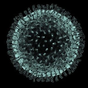 Coronavirus under microscope